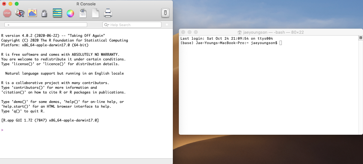 R console (left) compared against a macOS terminal (right)